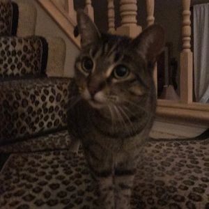 Meet your Posher, Ramiro